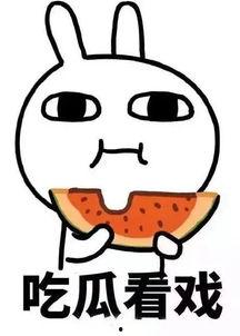 娱乐吃瓜酱的背景,揭秘娱乐圈幕后故事与热点事件